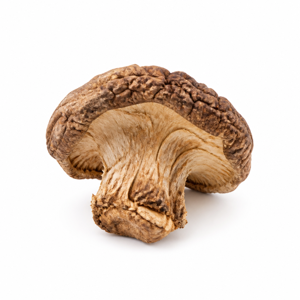 Champignon forestier déshydraté