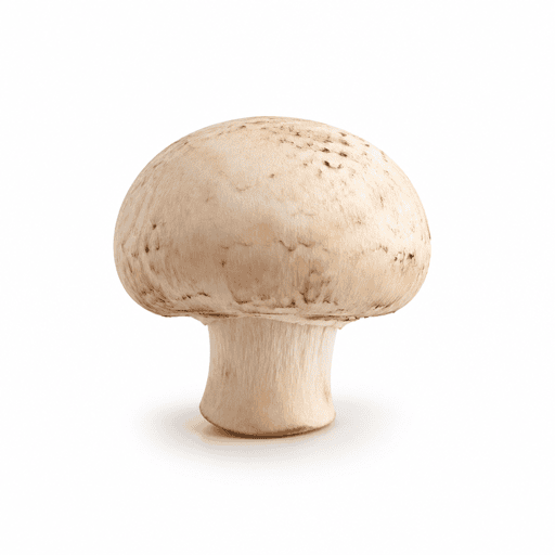 Champignon