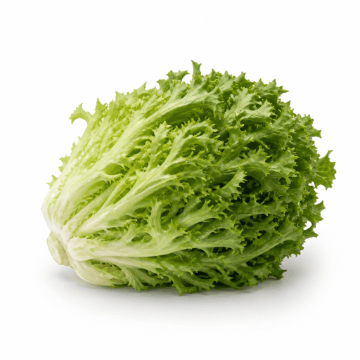Chicorée verte