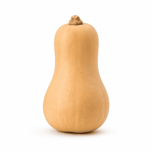 Courge butternut