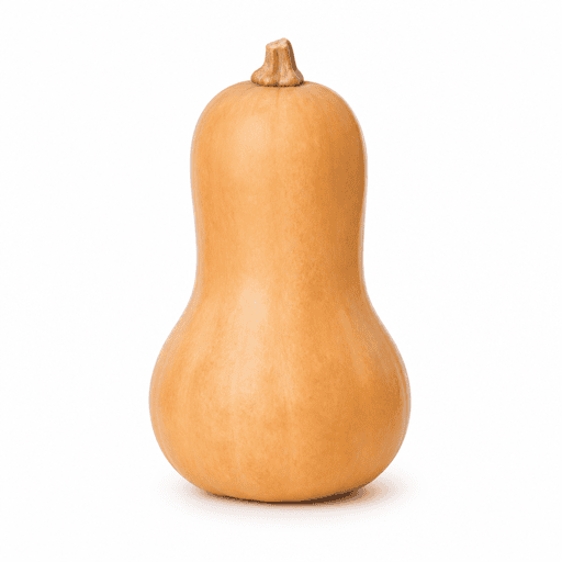 Courge