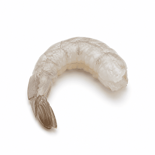 Crevette blanche ou crevette tropicale