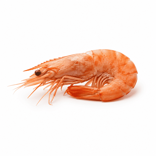 Crevette sauvage