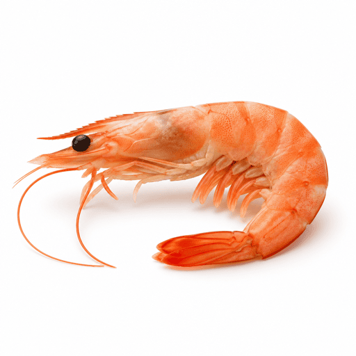 Crevette