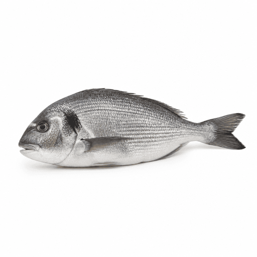 Dorade royale ou daurade ou vraie daurade