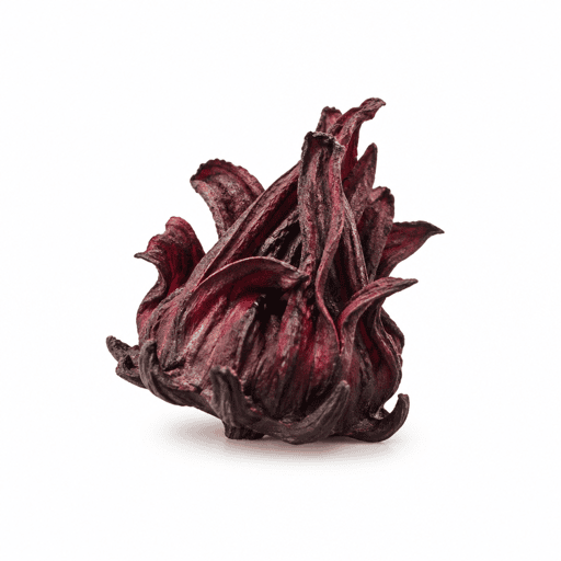 Fleur d'hibiscus