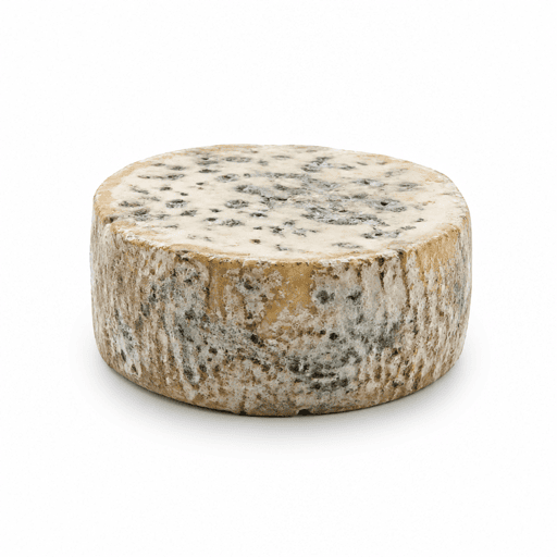 Fromage bleu des Causses