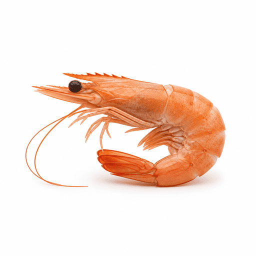 Gambas