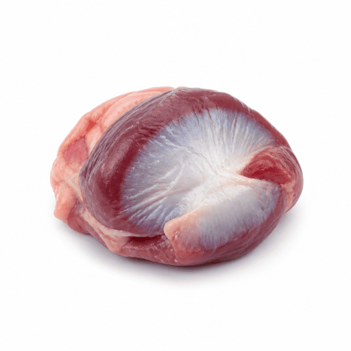 Gésier