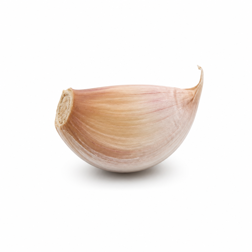 Gousse d'ail