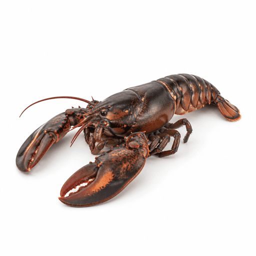 Homard
