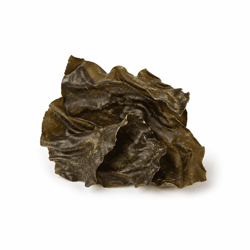 Kombu breton