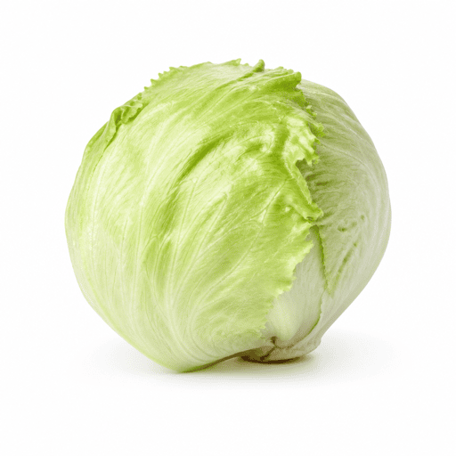 Laitue iceberg