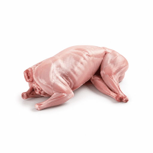 Lapin