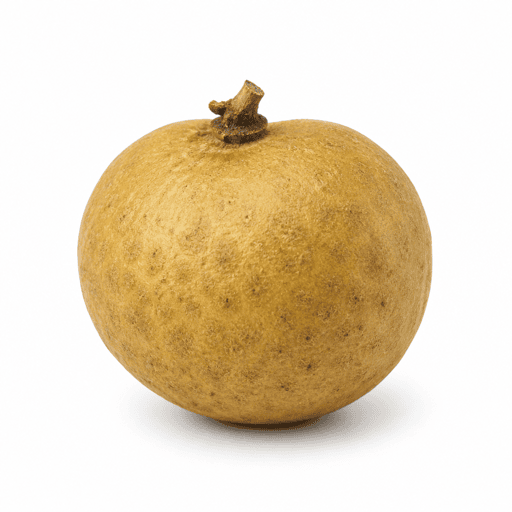 Longan