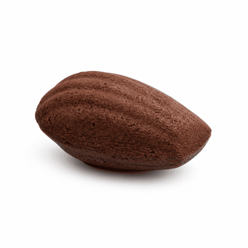 Madeleine au chocolat