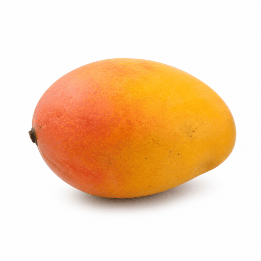 Mangue José