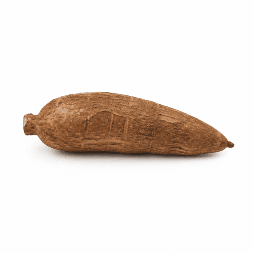 Manioc