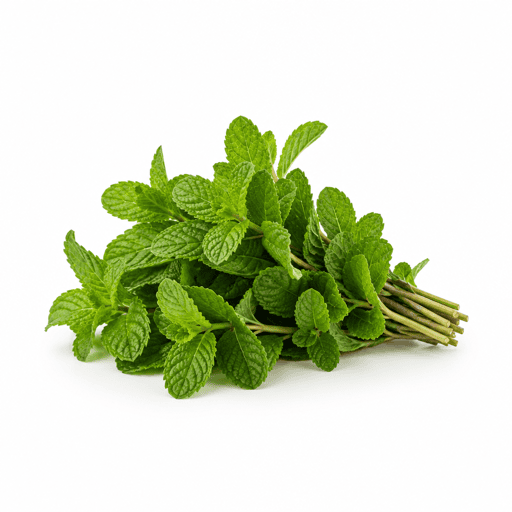 Menthe