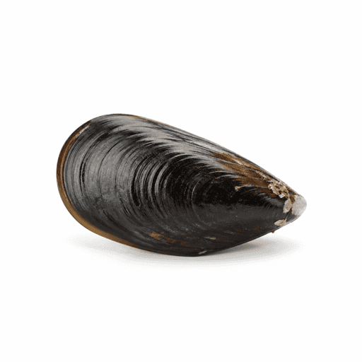 Moule