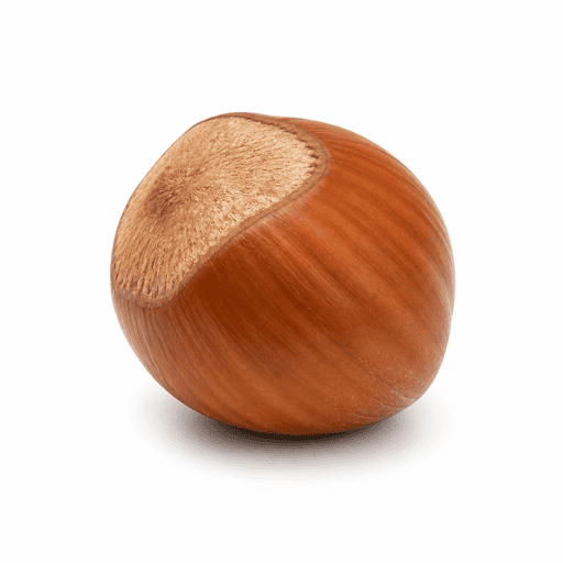 Noisette
