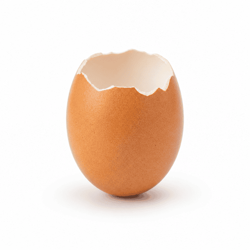 Oeuf à la coque