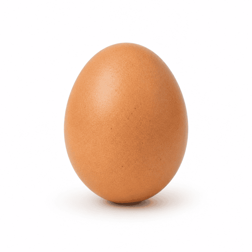 Oeuf cru
