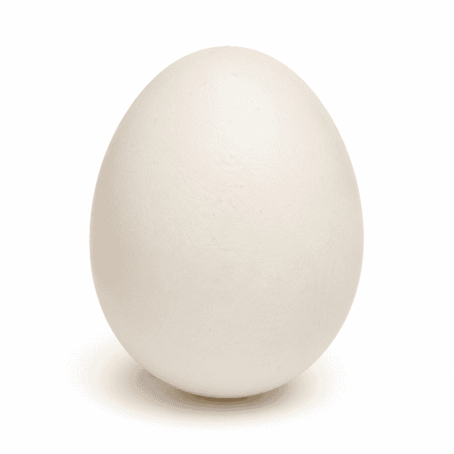Oeuf d'oie
