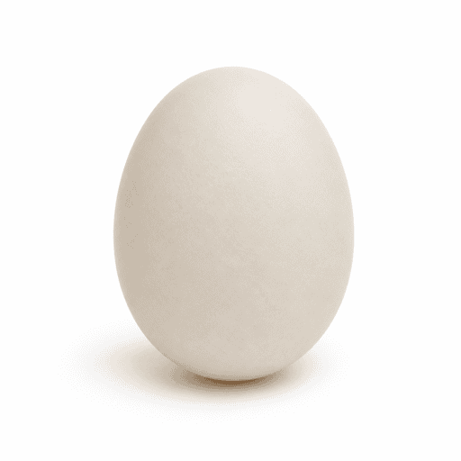 Oeuf de cane