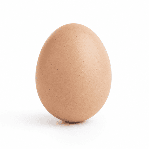 Oeuf de dinde