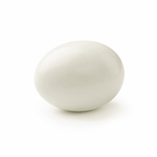 Oeuf dur