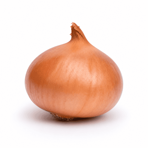Oignon grelot