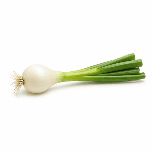 Oignon nouveau ou oignon frais ou cébette