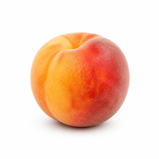 Pêche