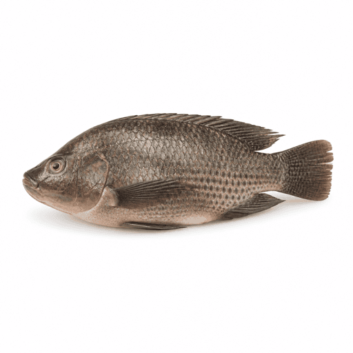 Perche du Nil