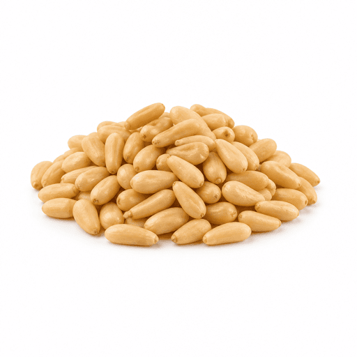 Pignon de pin