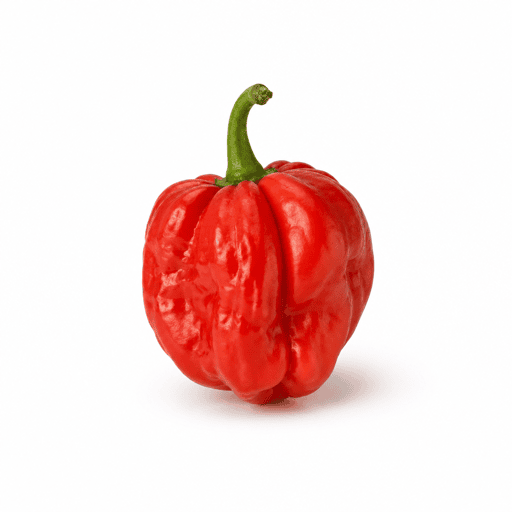 Piment antillais