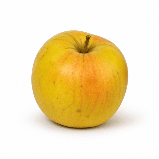 Pomme Chantecler