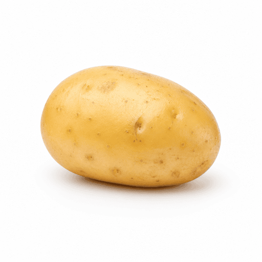 Pomme de terre nouvelle ou primeur