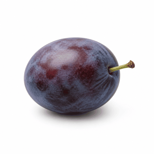 Quetsche