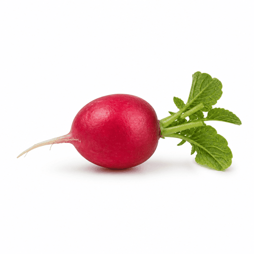 Radis rouge