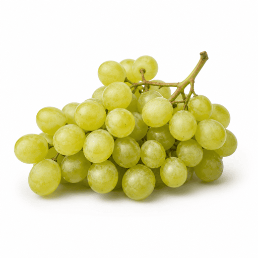 Raisin Chasselas