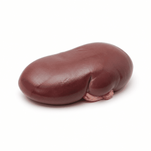 Rognon
