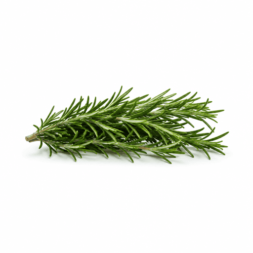 Romarin