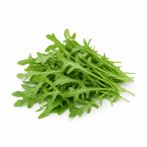 Roquette