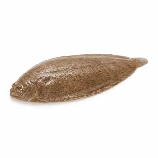 Sole