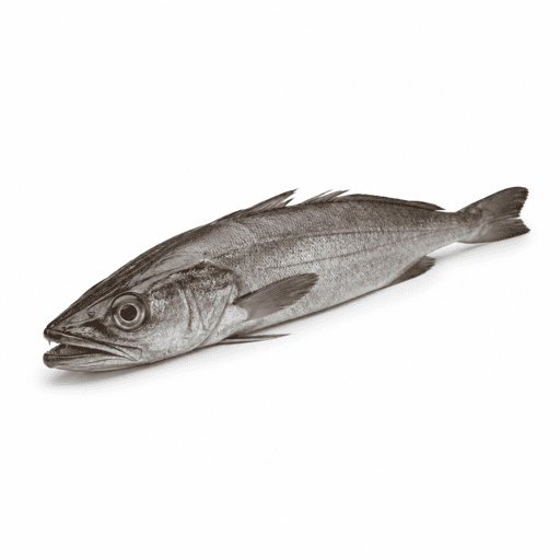 Tacaud