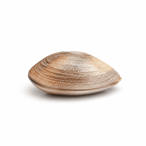 Telline