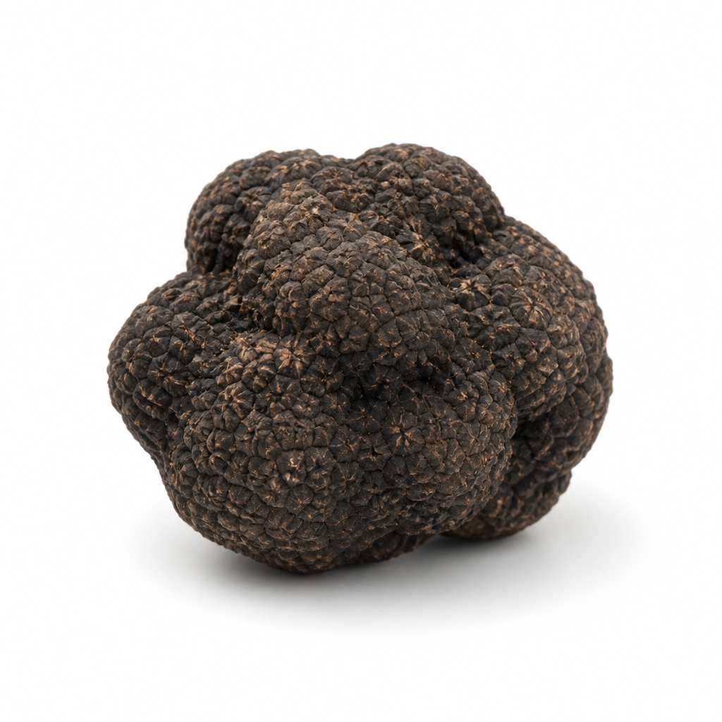 Truffe fraîche